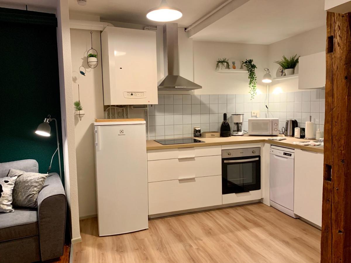 Appartements des 2 Têtes Colmar Exterior foto